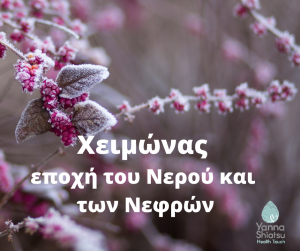winter kidneys tcm