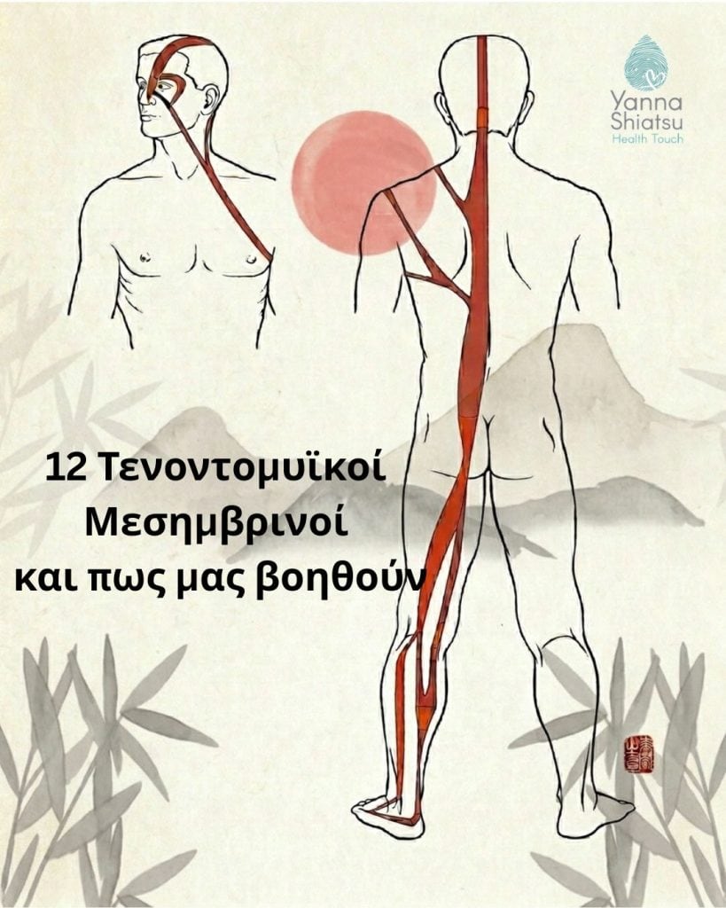 12 Τενοντομυϊκοί Μεσημβρινοί: Η Χρήση τους στην Αντιμετώπιση Πόνου, Τραυματισμών και Δυσκαμψίας